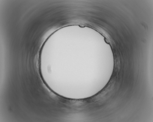 X0000113171103200910021517