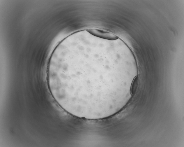 X0000113171104200910021517