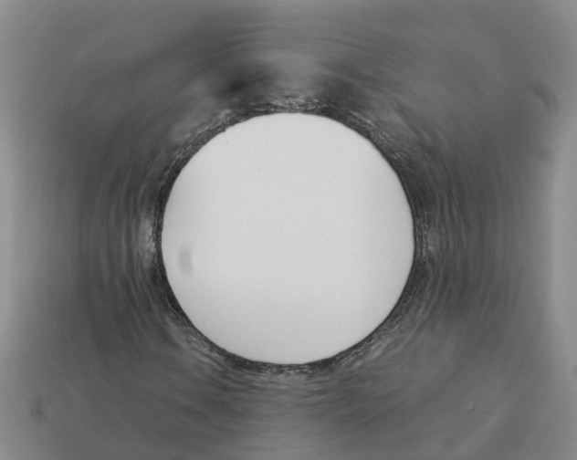 X0000113171106200910021516
