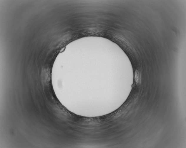 X0000113171107200910021516