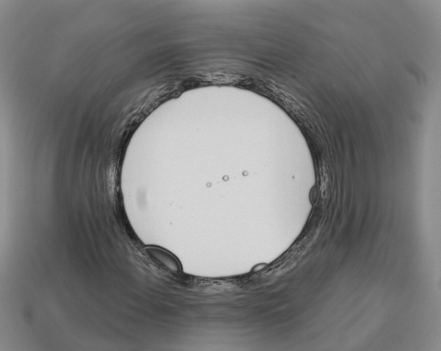 X0000113171108200910021516