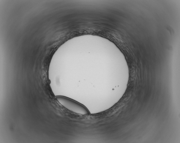 X0000113171109200910021516