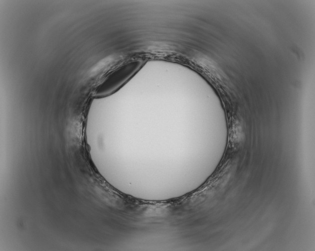 X0000113171110200910021516
