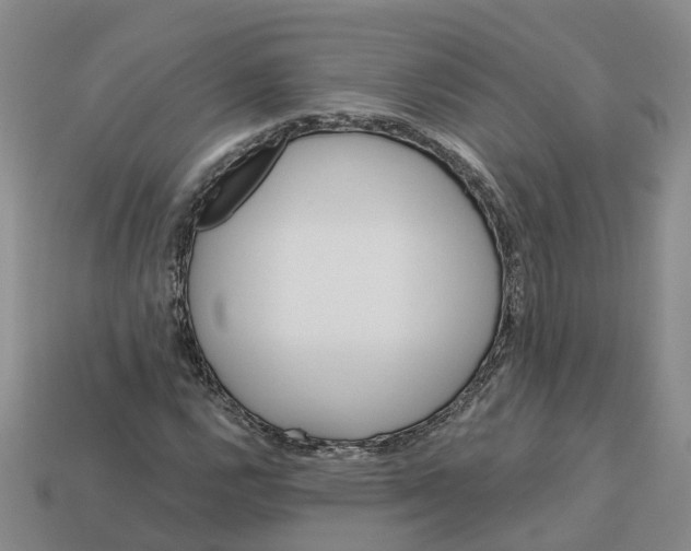 X0000113171112200910021516