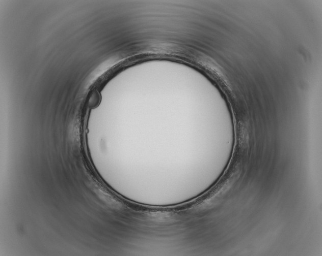 X0000113171114200910021516