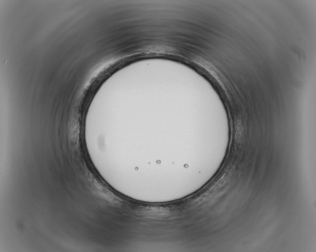 X0000113171115200910021516