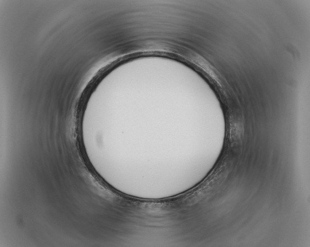 X0000113171116200910021516