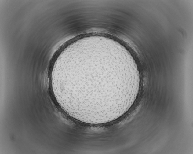 X0000113171117200910021516