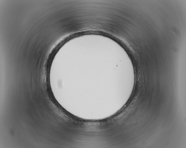 X0000113171118200910021516