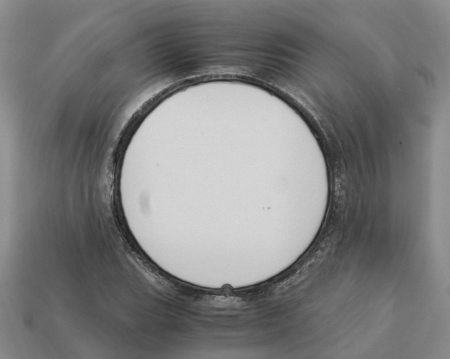 X0000113171119200910021516