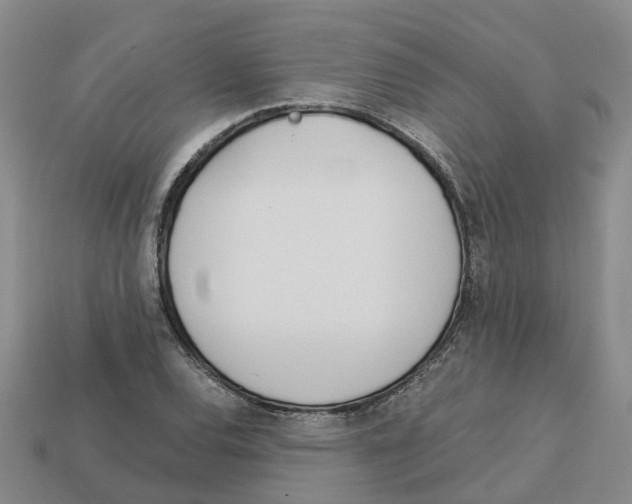 X0000113171120200910021517