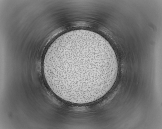 X0000113171121200910021517