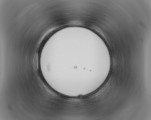 X0000113171123200910021517