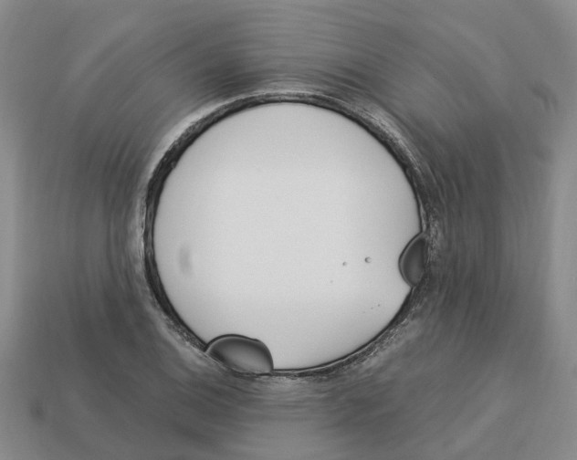 X0000113171124200910021517