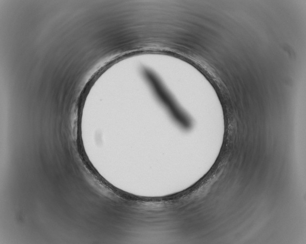 X0000113171126200910021517