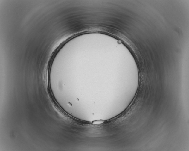 X0000113171127200910021517