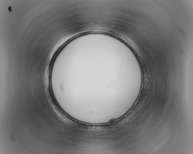 X0000113171128200910021517