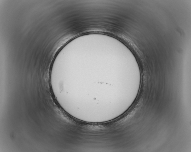 X0000113171129200910021517