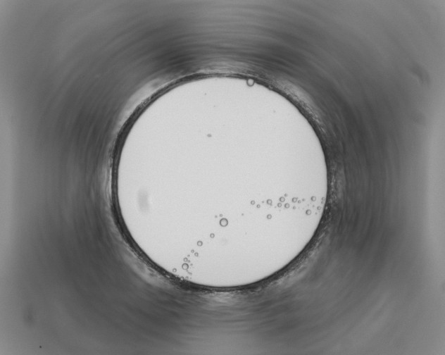X0000113171130200910021517