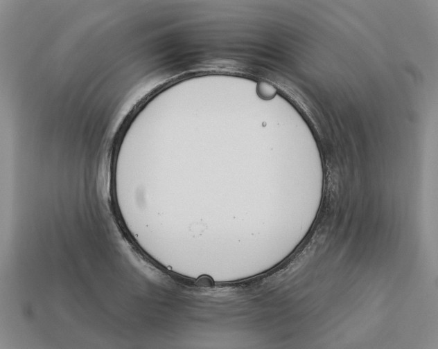 X0000113171131200910021517