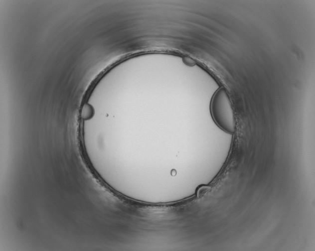 X0000113171134200910021517