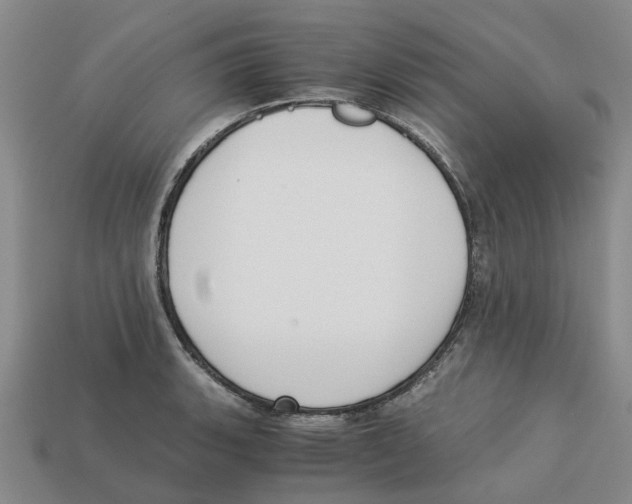 X0000113171135200910021517