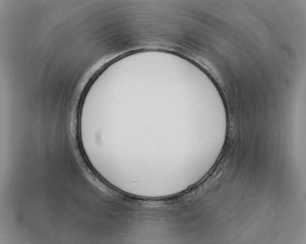 X0000113171136200910021517