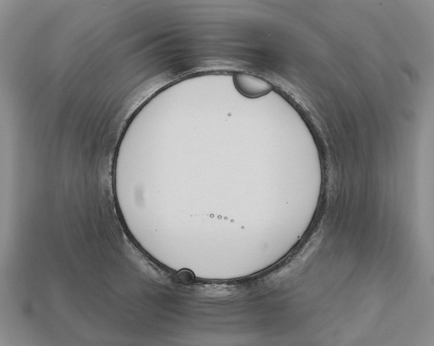 X0000113171137200910021517