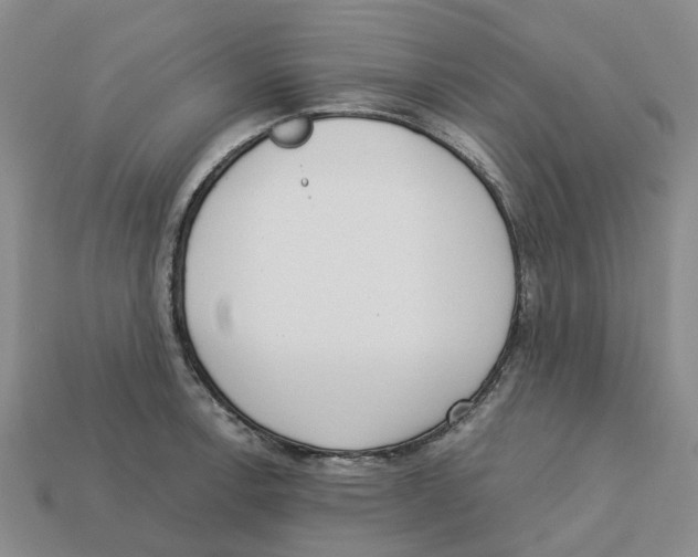 X0000113171138200910021517
