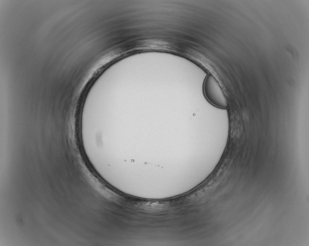 X0000113171139200910021517