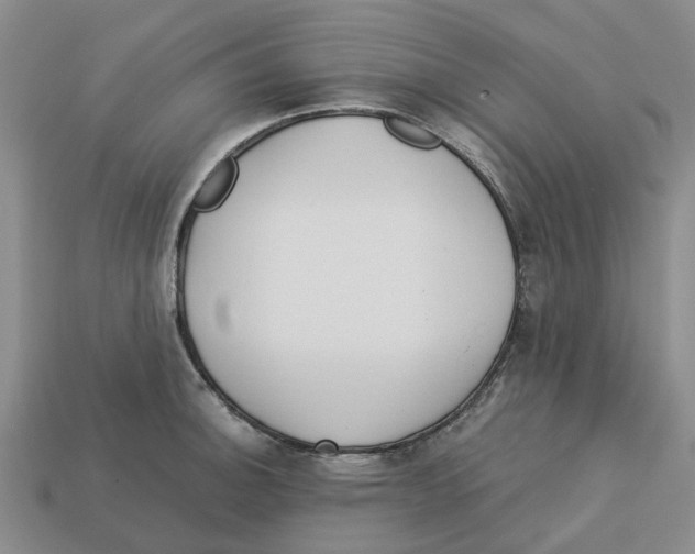 X0000113171140200910021517