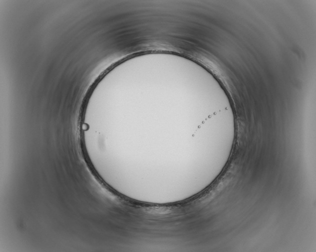 X0000113171141200910021517