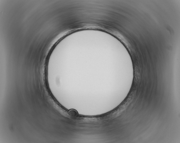 X0000113171142200910021517
