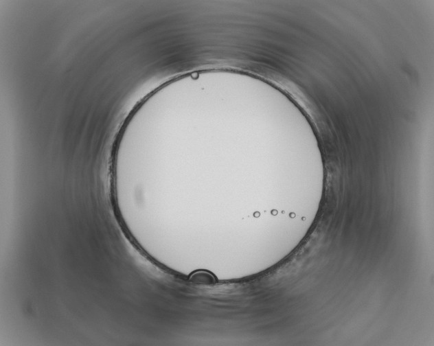 X0000113171143200910021517