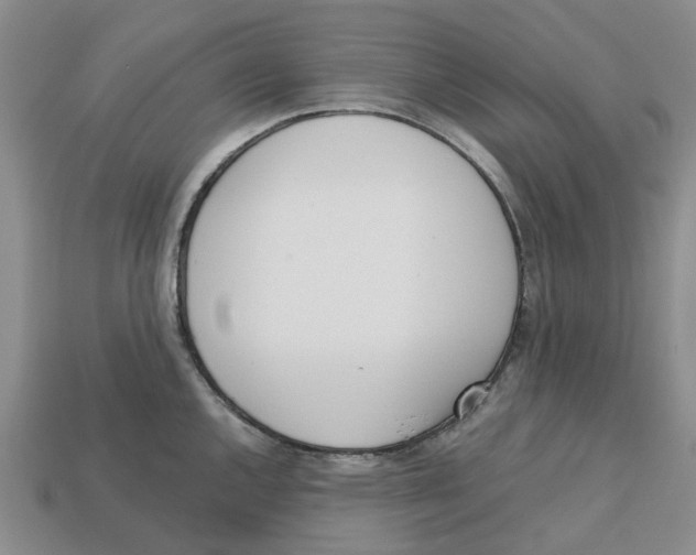 X0000113171144200910021517