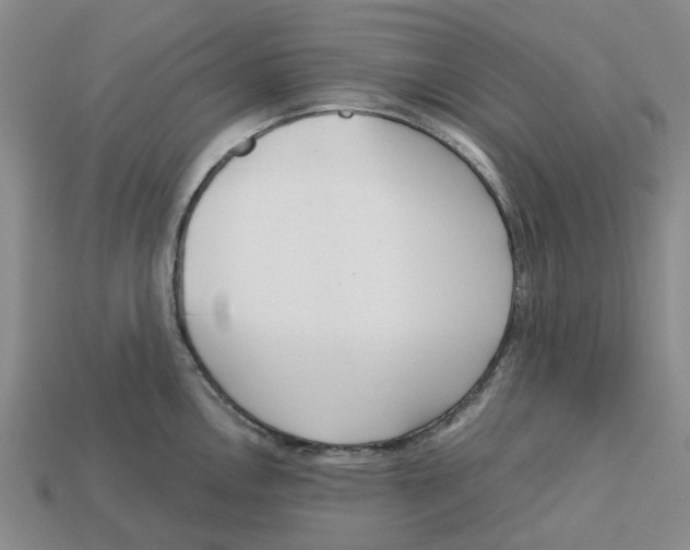 X0000113171146200910021517