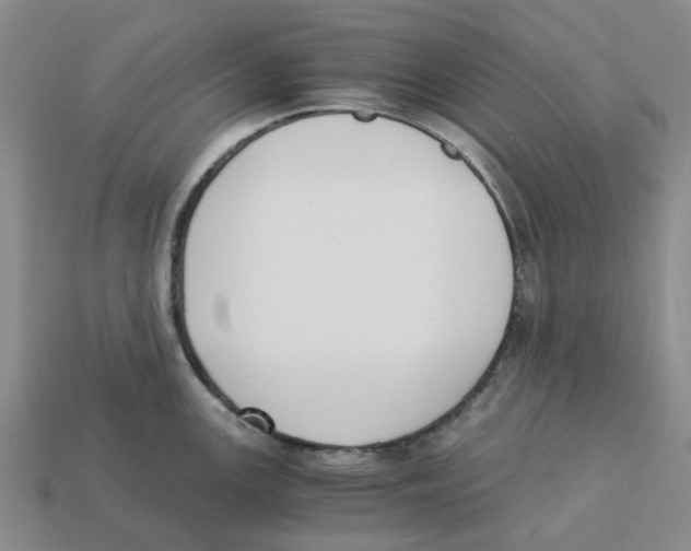 X0000113171147200910021517