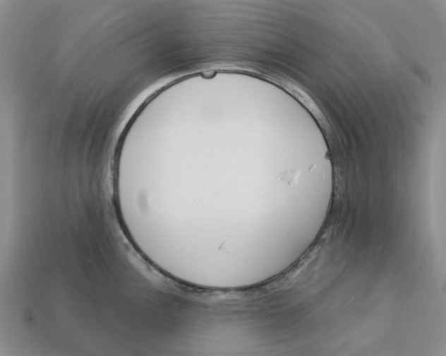 X0000113171148200910021517