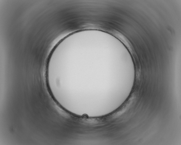 X0000113171149200910021517