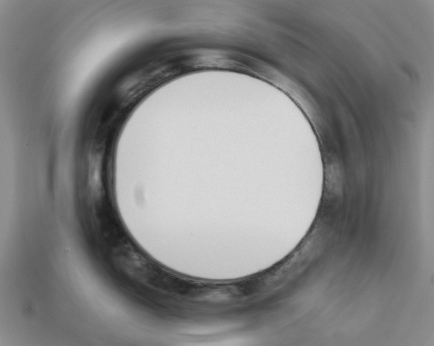 X0000113171150200910021517