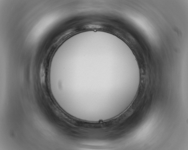 X0000113171151200910021517