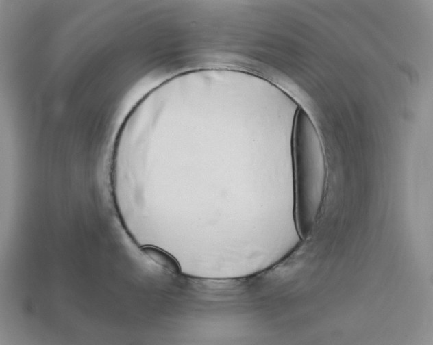 X0000113171152200910021517
