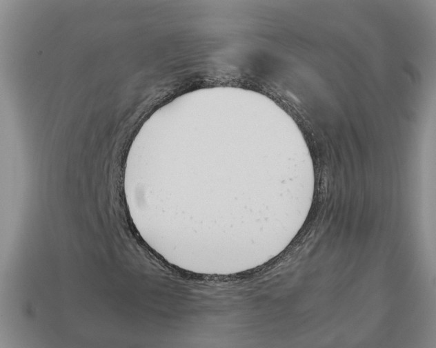 X0000113171153200910021516