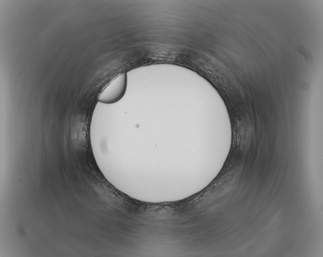 X0000113171154200910021516