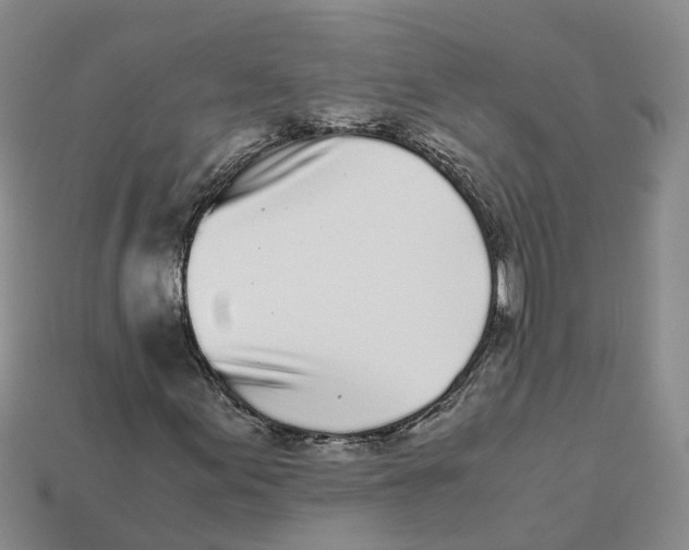 X0000113171155200910021516