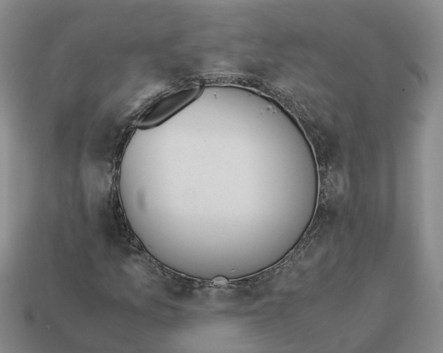 X0000113171157200910021516