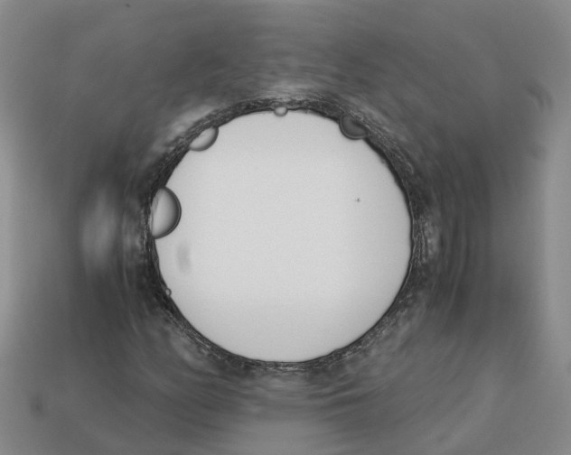 X0000113171158200910021516