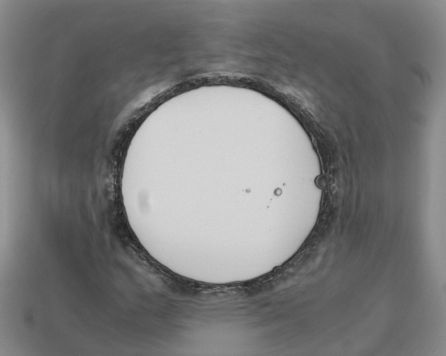 X0000113171159200910021516
