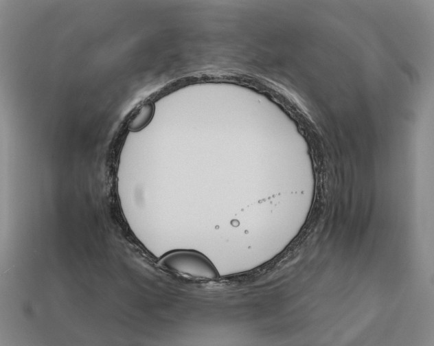 X0000113171160200910021516