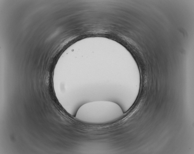 X0000113171161200910021516